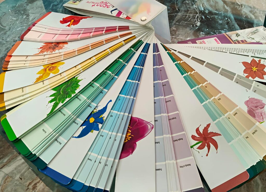 whatsapp image 2026 01 13 at 11.30.15 am